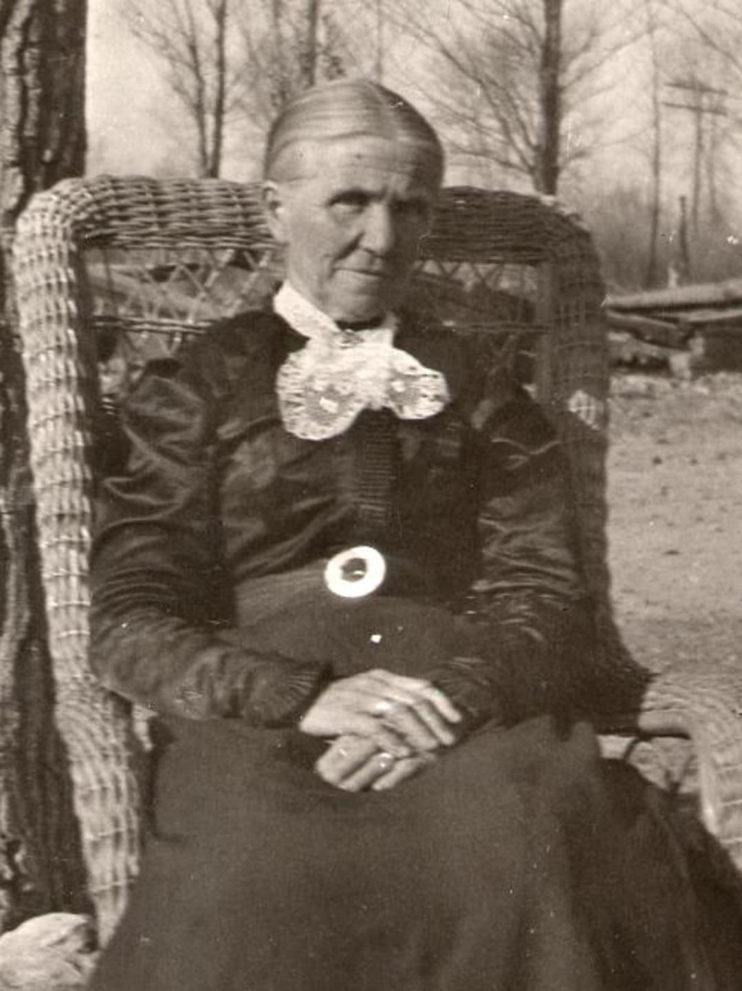 Lovisa Matilda Homer (1848 - 1935) Profile